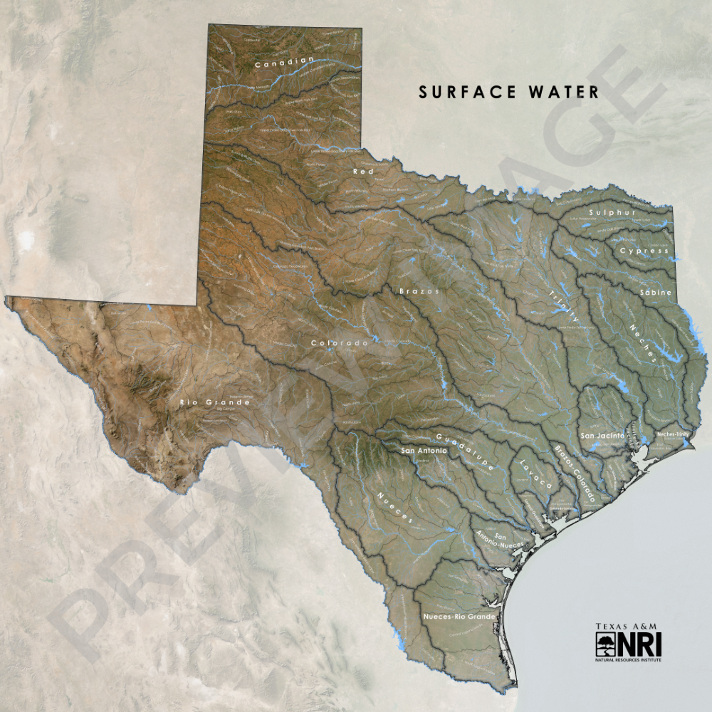 Texas Surface Water Map Logo